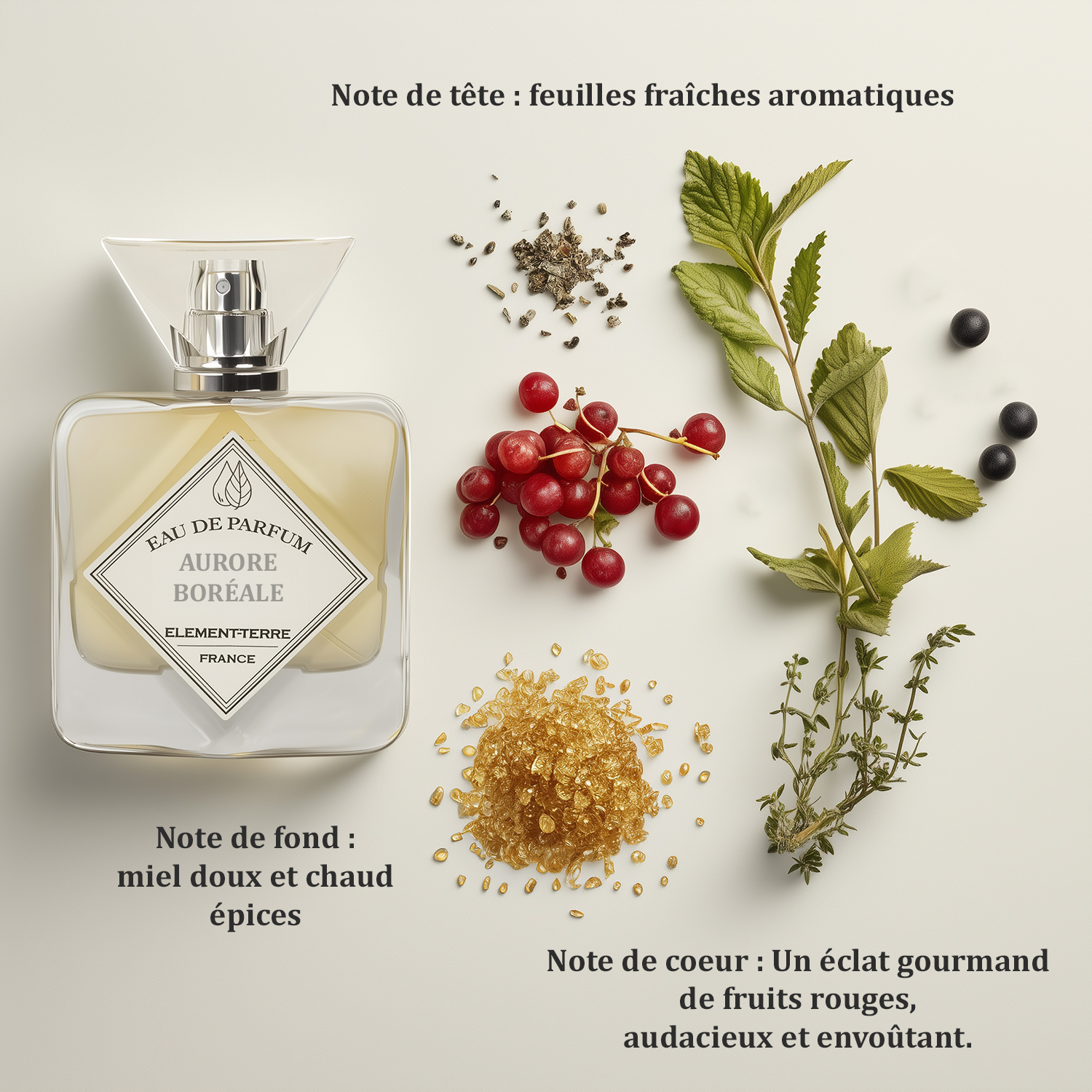 aurore boréale aurore boréale