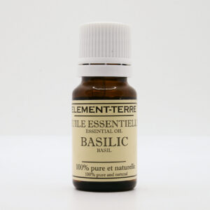 basilic 1 2 scaled 1.jpg