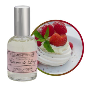 fraise menthe disk.jpg