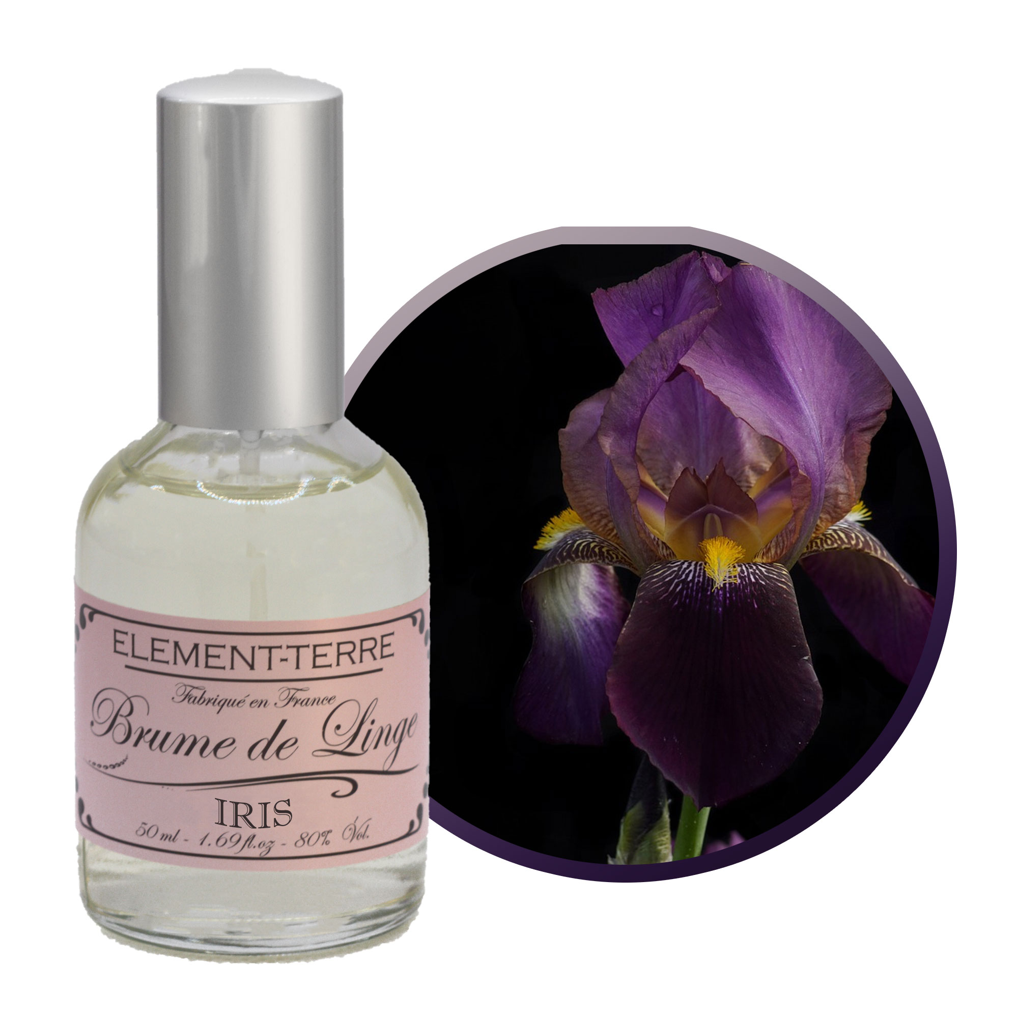 iris disk.jpg iris disk.jpg