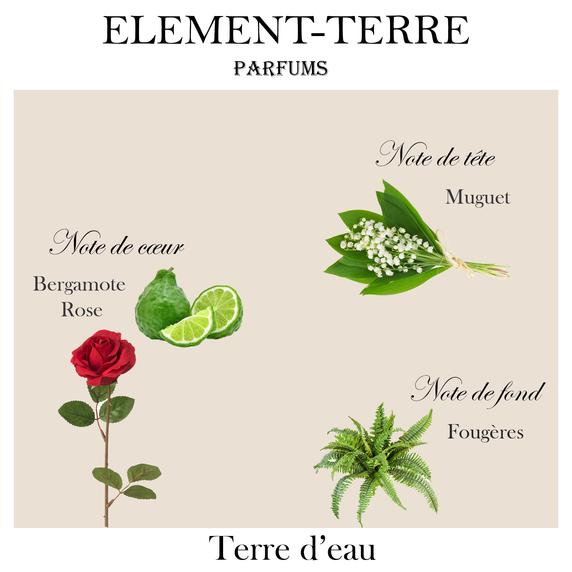 terre d'eau terre d'eau